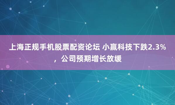 上海正规手机股票配资论坛 小赢科技下跌2.3%，公司预期增长放缓