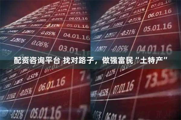 配资咨询平台 找对路子，做强富民“土特产”